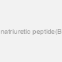 Human brain natriuretic peptide(BNP)ELISA Kit